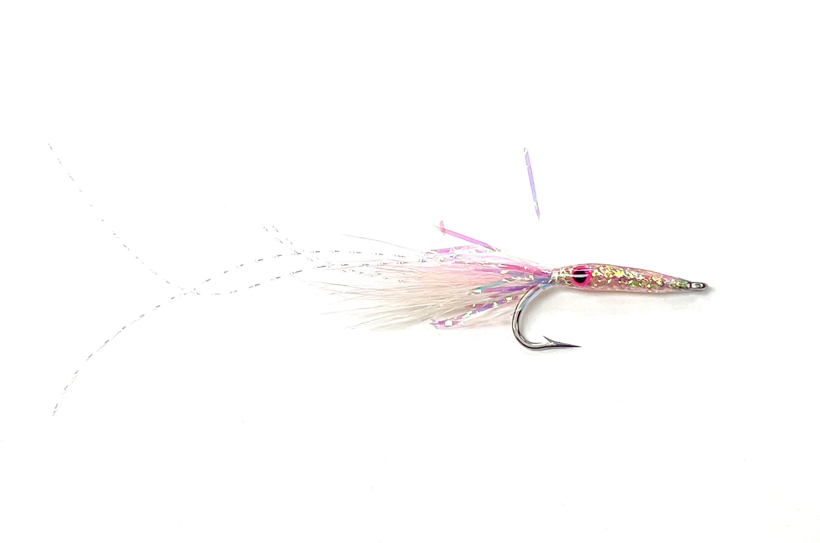 Gamboa's Squid